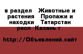  в раздел : Животные и растения » Пропажи и находки . Татарстан респ.,Казань г.